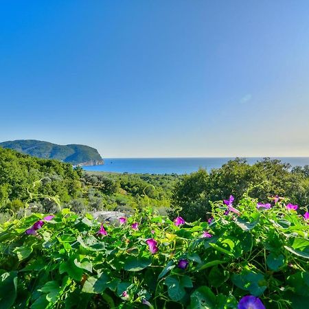 Pataki Studios Petrovac 외부 사진