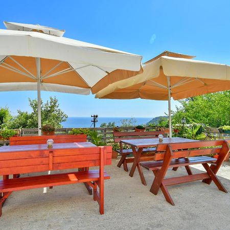Pataki Studios Petrovac 외부 사진