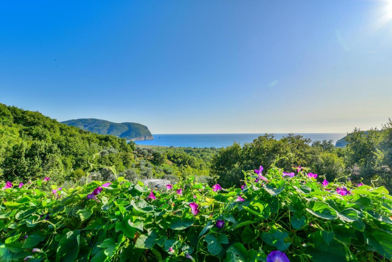 Pataki Studios Petrovac 외부 사진