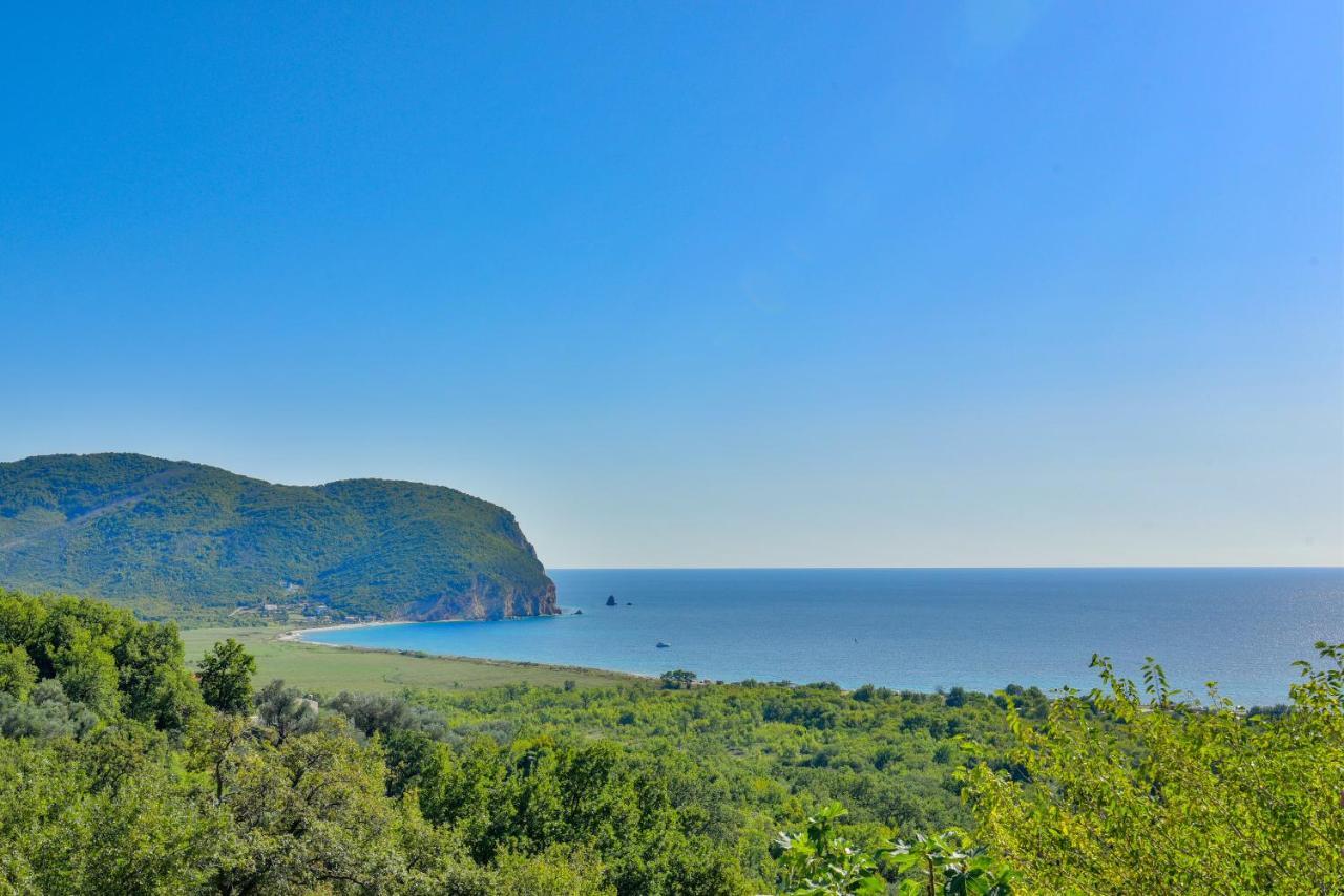 Pataki Studios Petrovac 외부 사진
