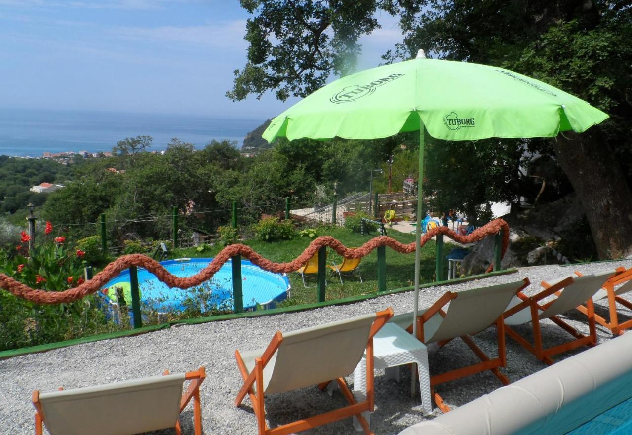 Pataki Studios Petrovac 외부 사진