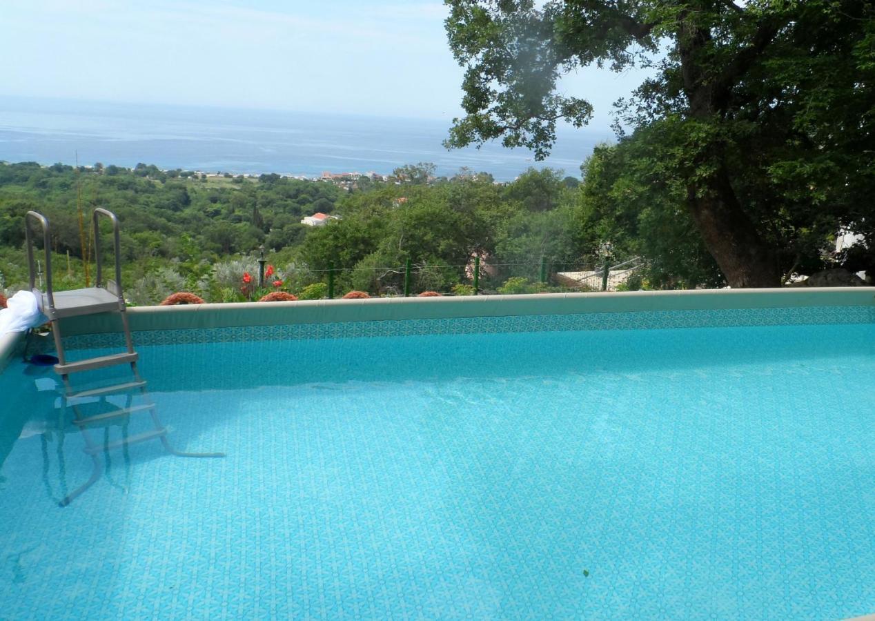 Pataki Studios Petrovac 외부 사진