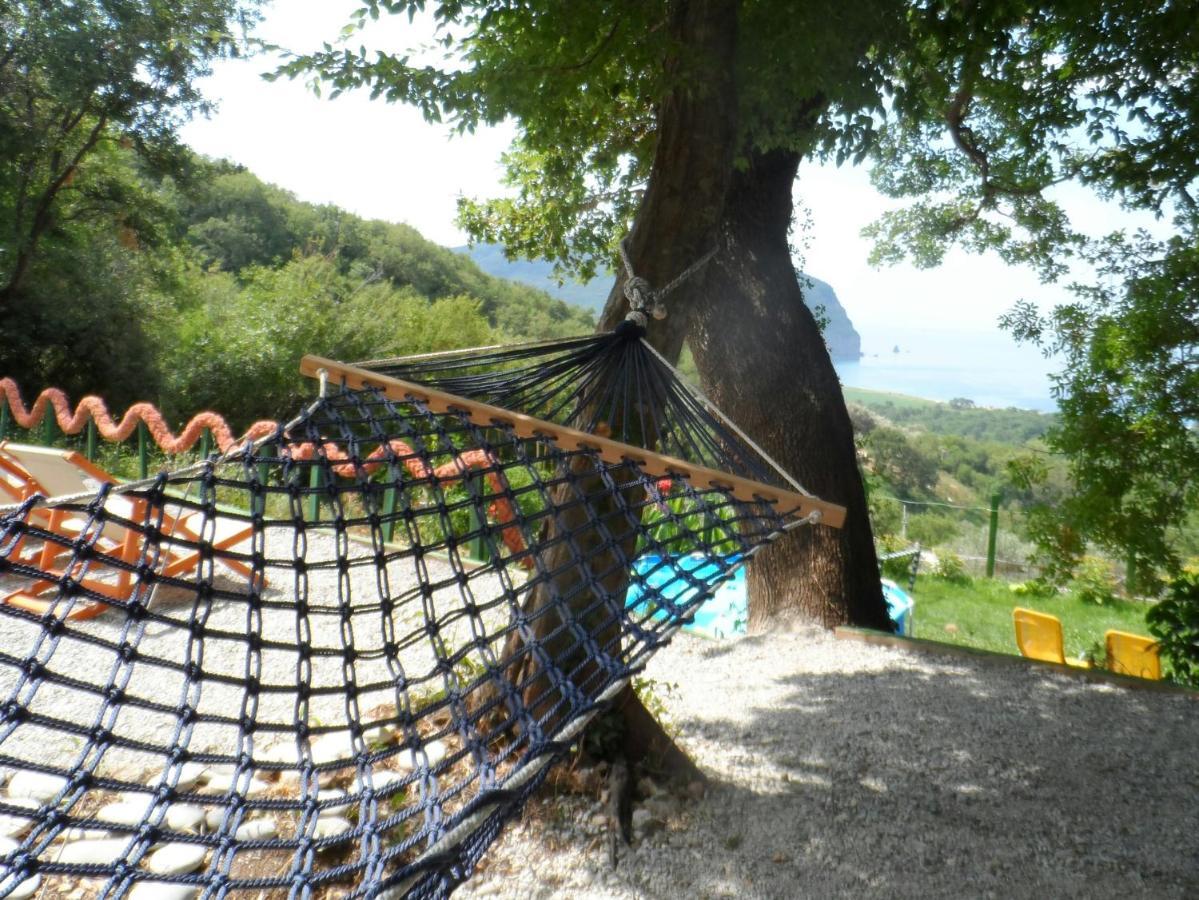 Pataki Studios Petrovac 외부 사진