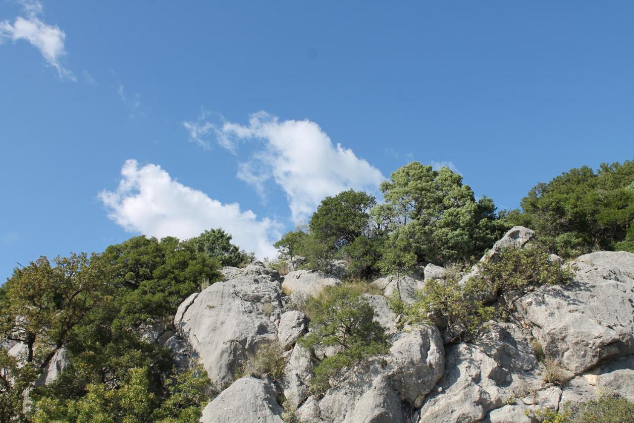 Pataki Studios Petrovac 외부 사진