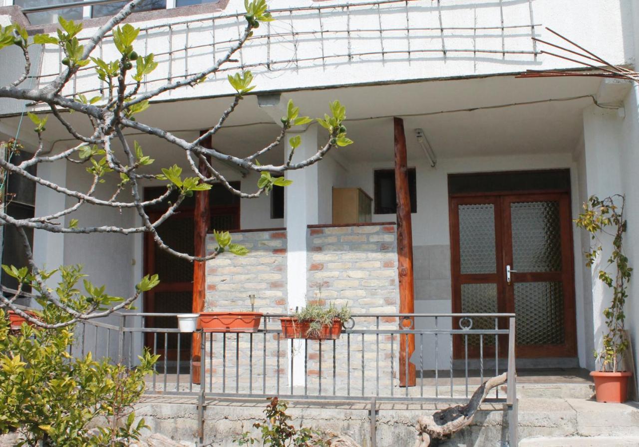 Pataki Studios Petrovac 외부 사진